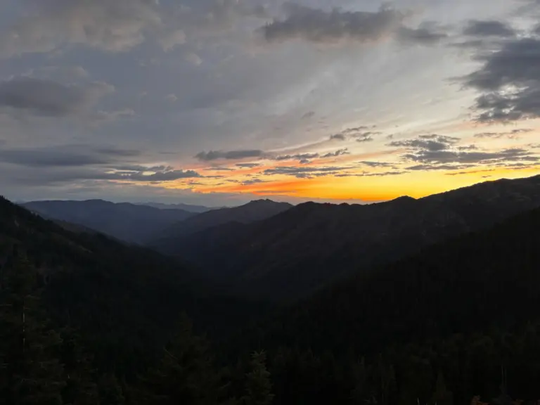 Instagram post from caldeerassoc. This post is in position 5.
