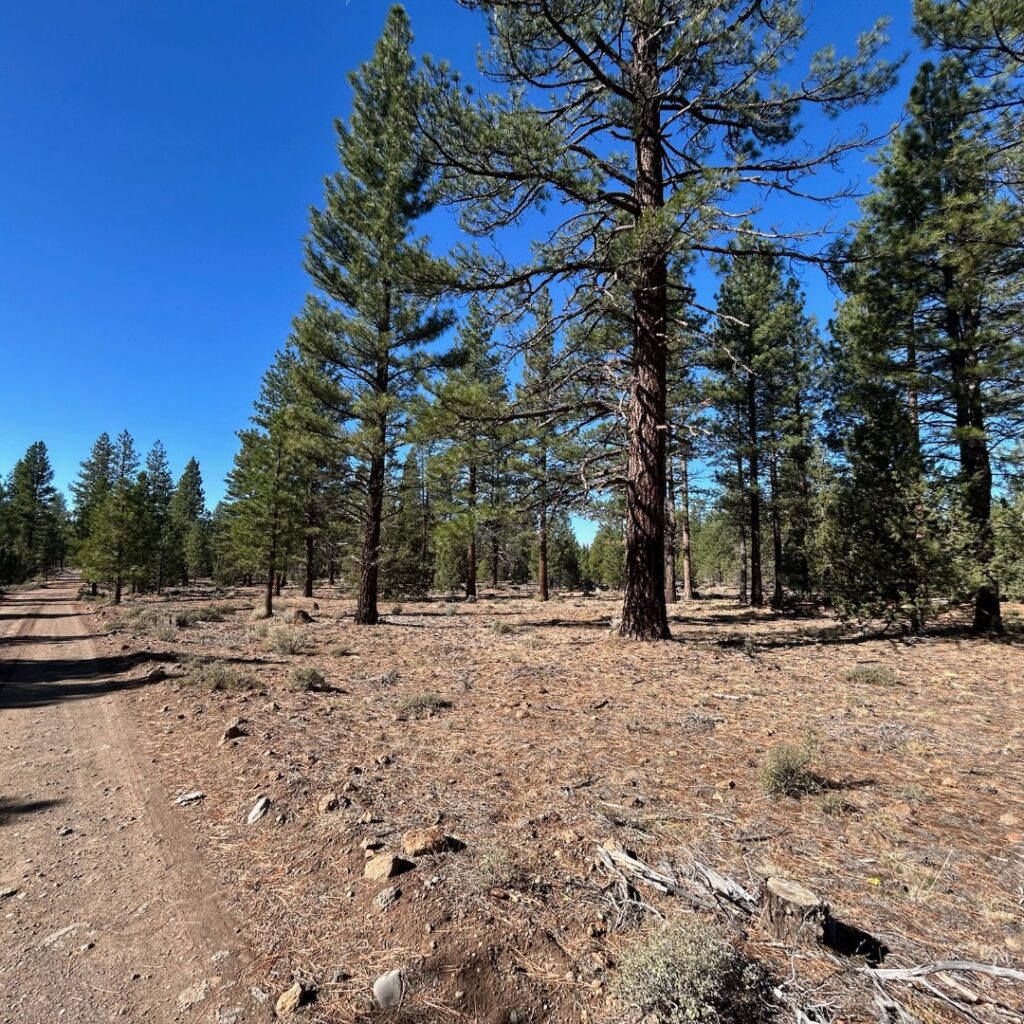 Instagram post from caldeerassoc. This post is in position 3.