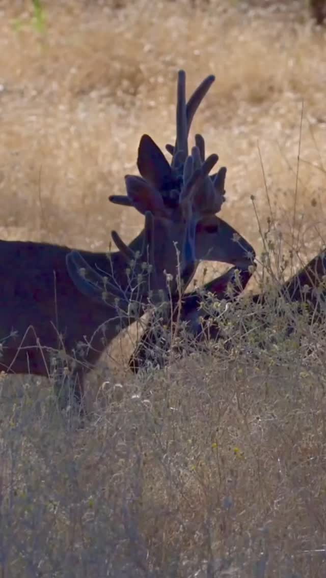 Instagram post from caldeerassoc. This post is in position 0.