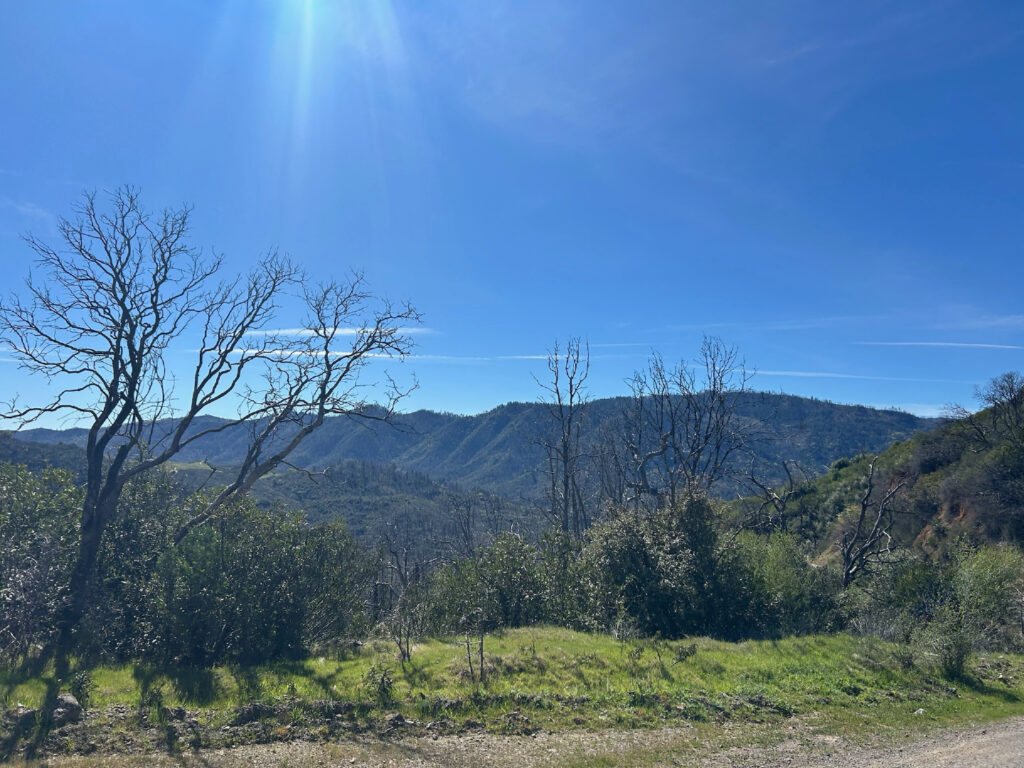 Instagram post from caldeerassoc. This post is in position 4.