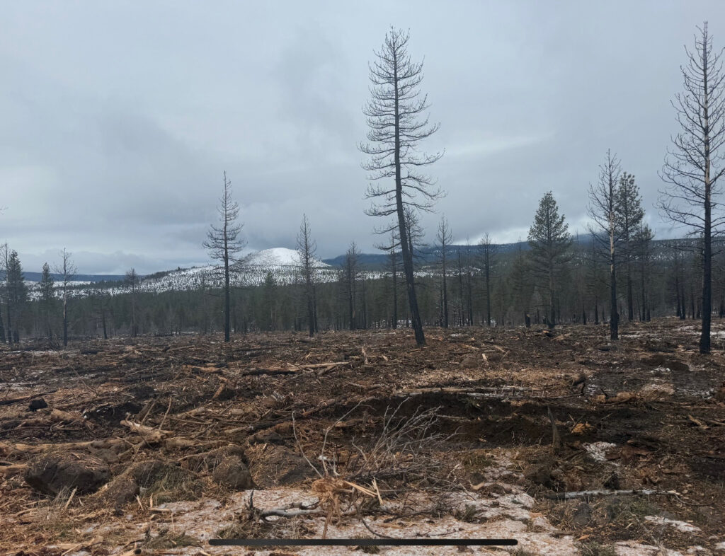 Instagram post from caldeerassoc. This post is in position 2.