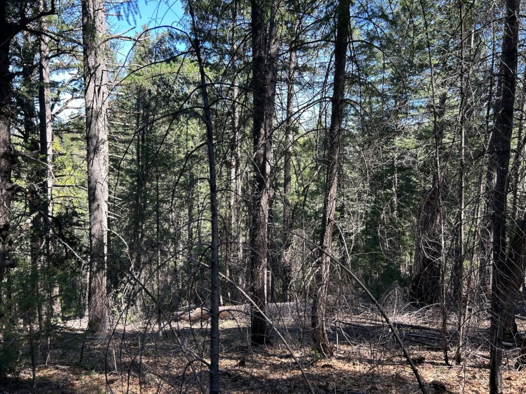 Instagram post from caldeerassoc. This post is in position 2.