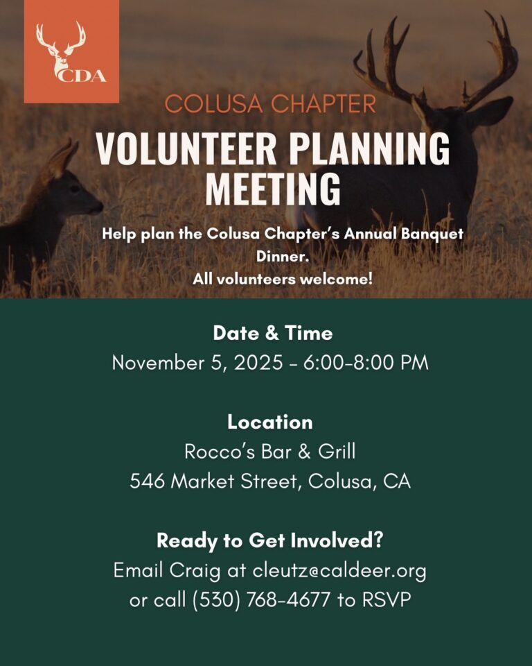 Instagram post from caldeerassoc. This post is in position 3.