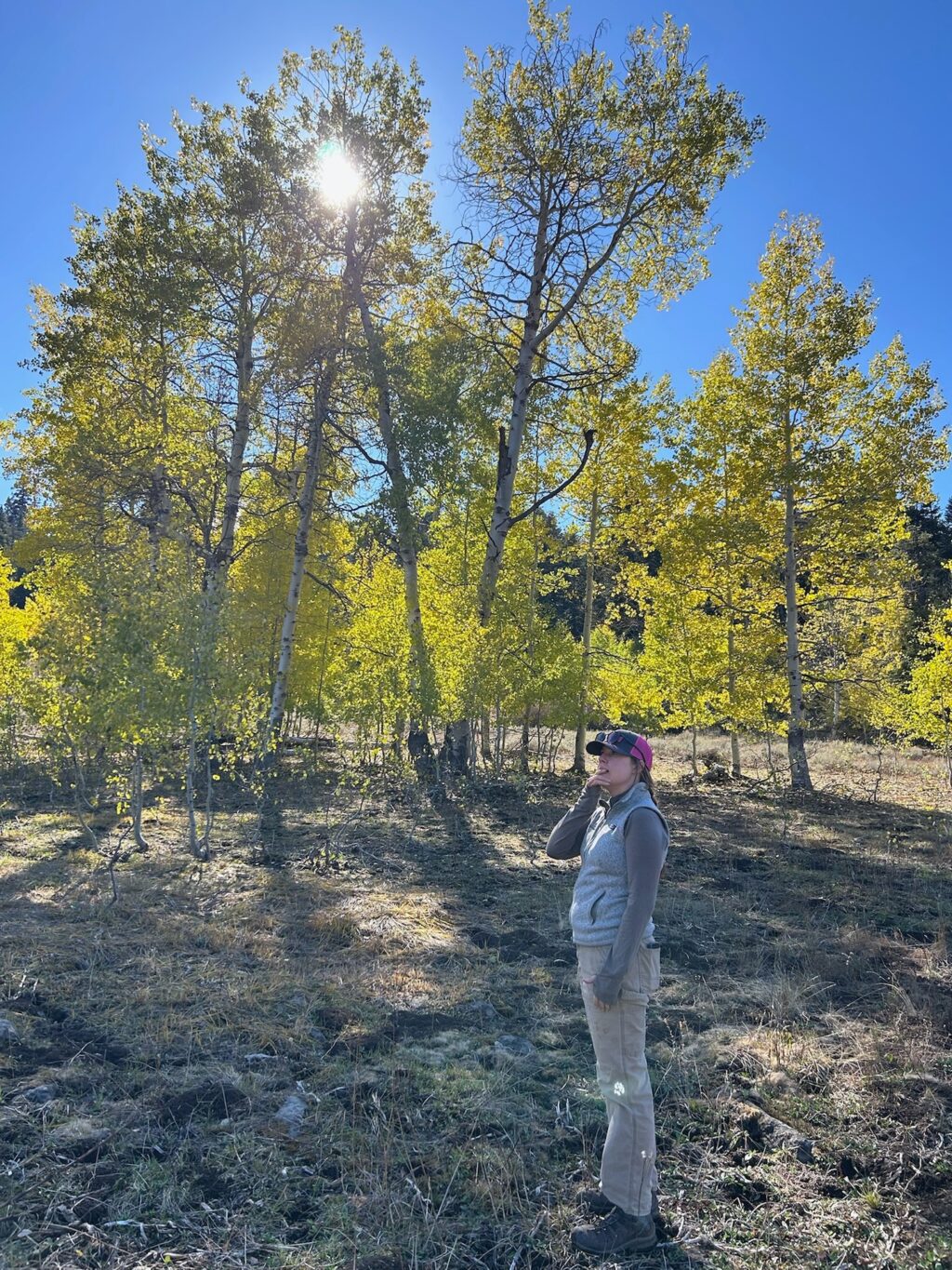 Instagram post from caldeerassoc. This post is in position 4.