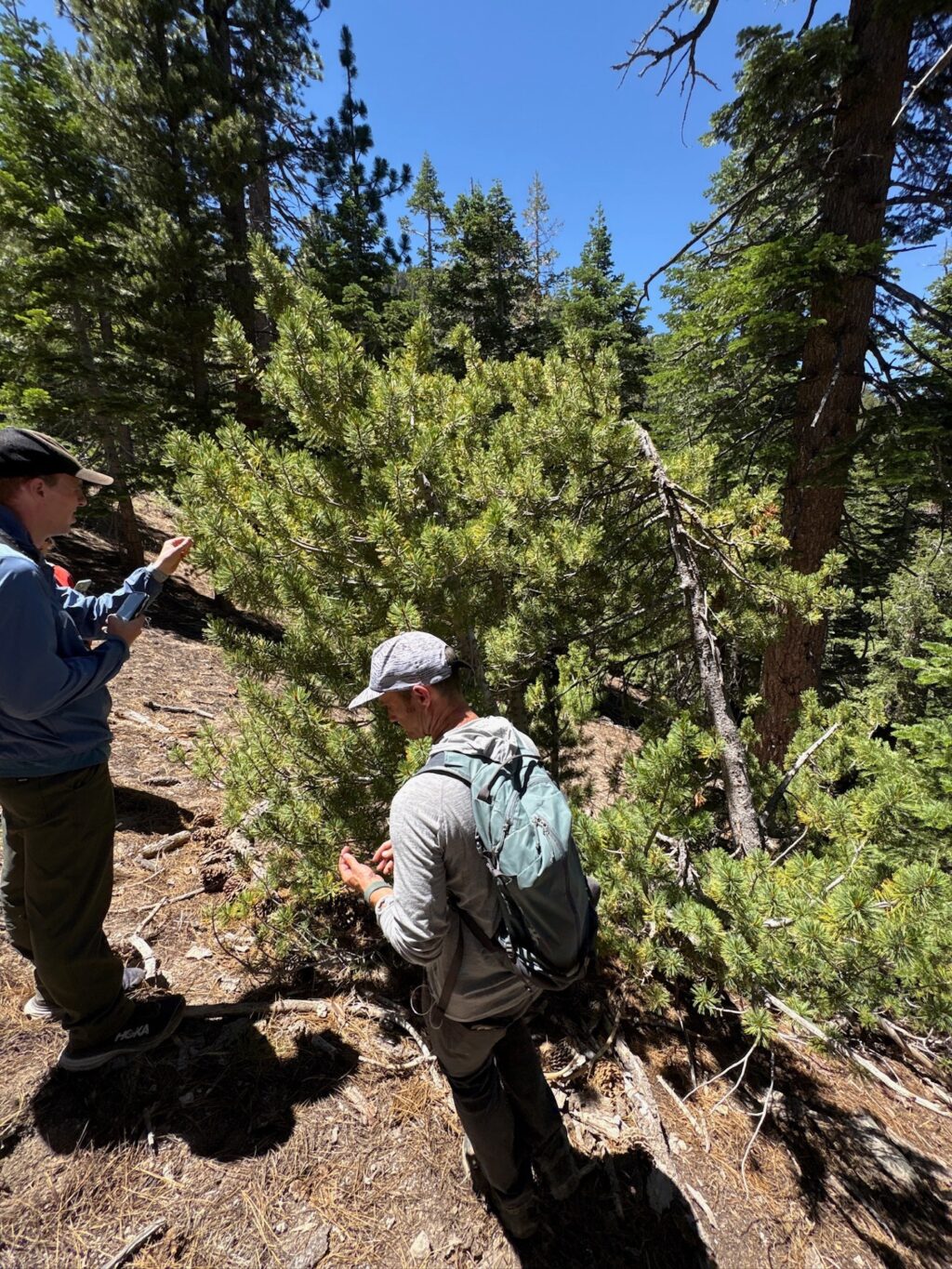 Instagram post from caldeerassoc. This post is in position 8.