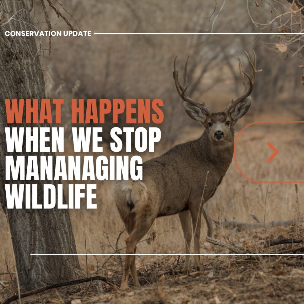 Instagram post from caldeerassoc. This post is in position 0.