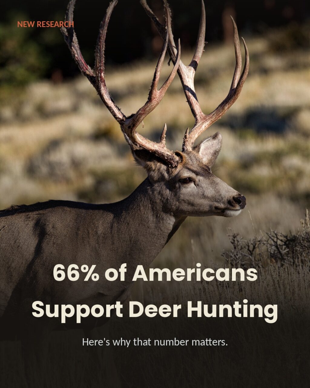 Instagram post from caldeerassoc. This post is in position 0.