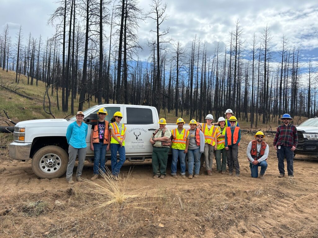 Instagram post from caldeerassoc. This post is in position 7.