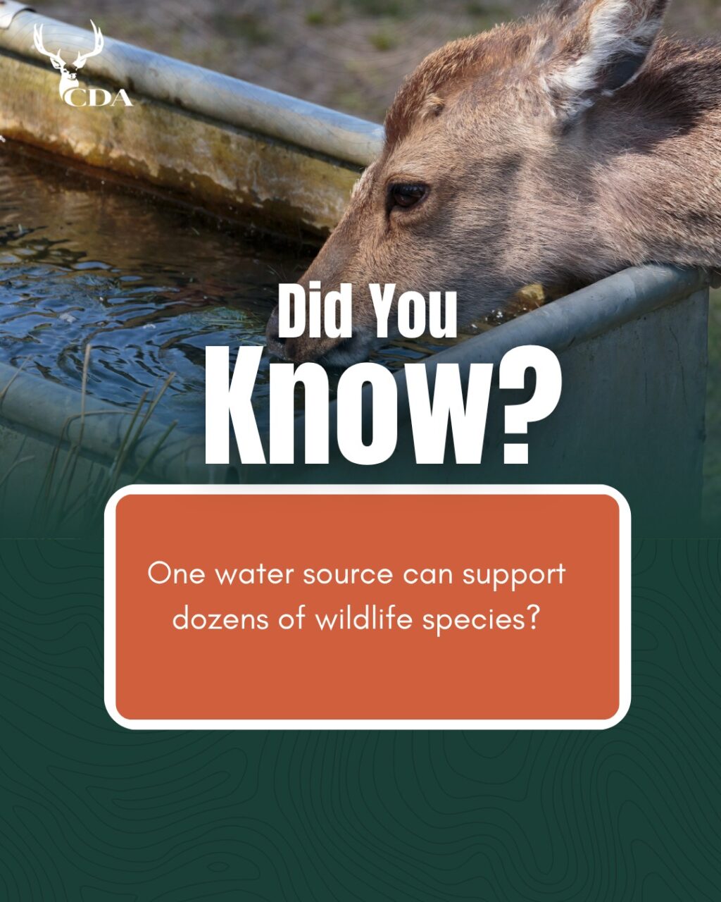 Instagram post from caldeerassoc. This post is in position 0.