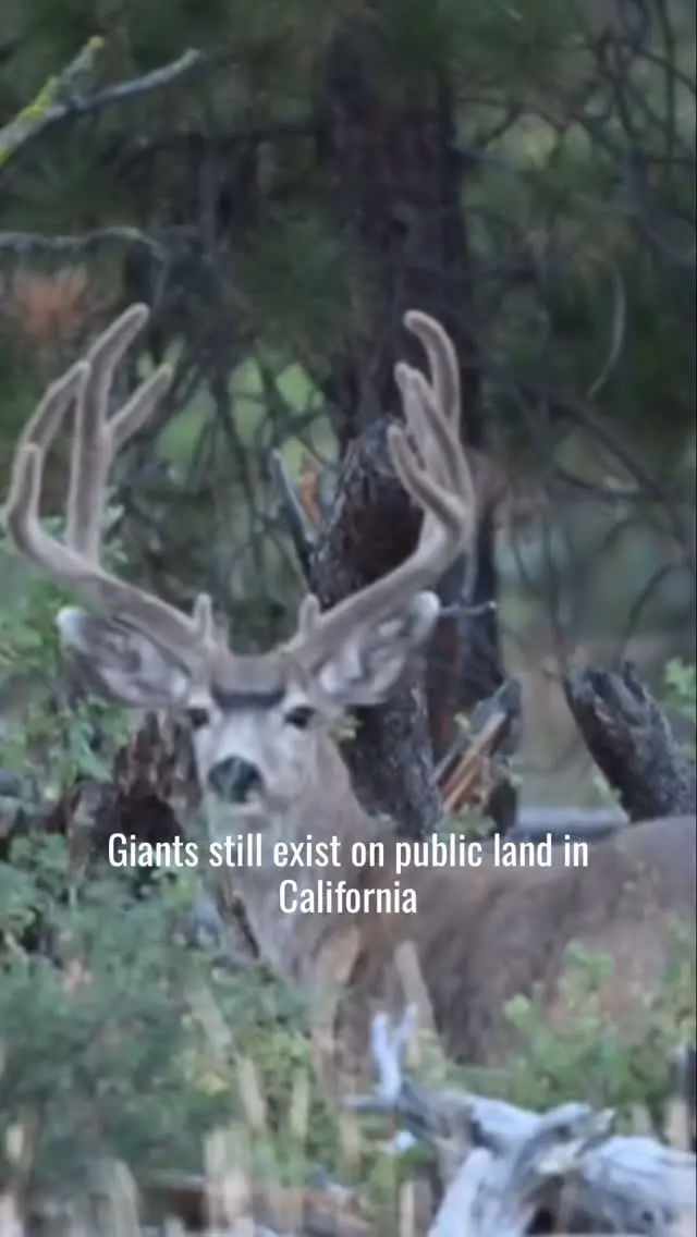 Instagram post from caldeerassoc. This post is in position 0.