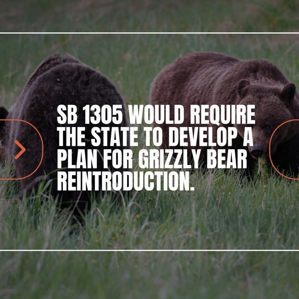 Instagram post from caldeerassoc. This post is in position 1.