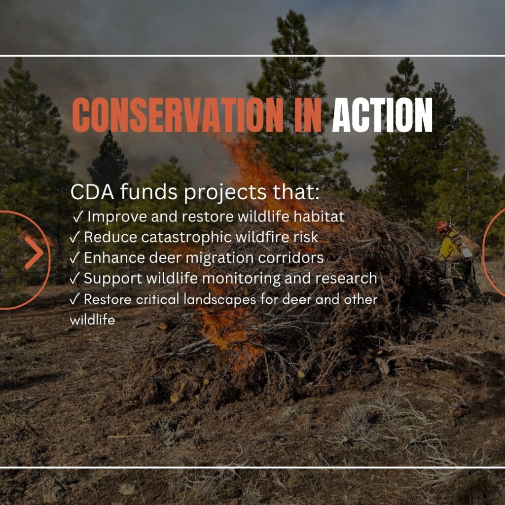Instagram post from caldeerassoc. This post is in position 2.