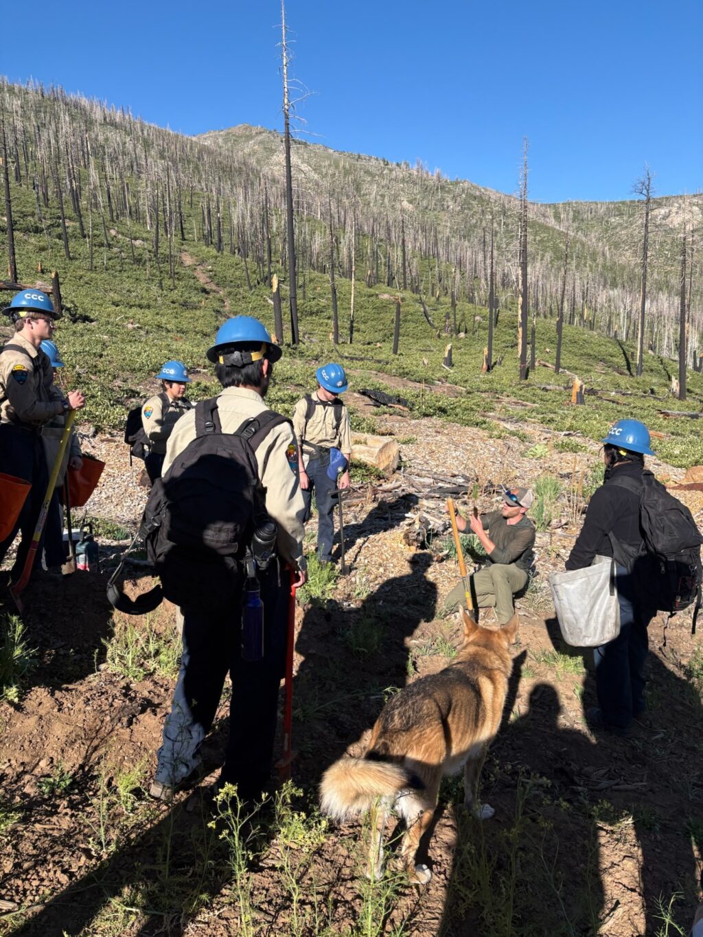 Instagram post from caldeerassoc. This post is in position 1.