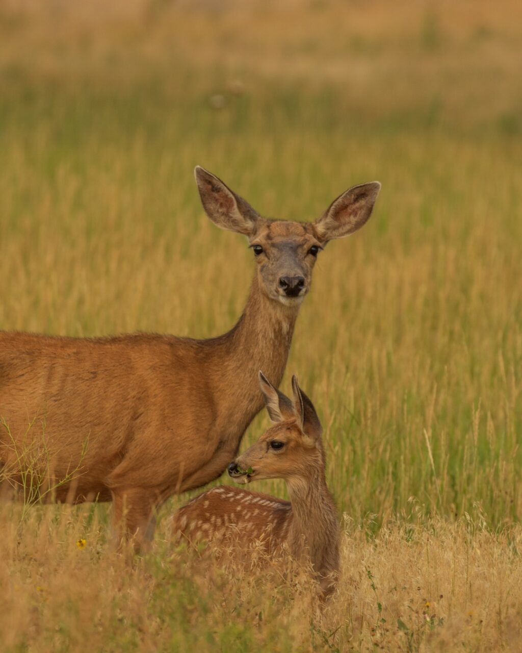 Instagram post from caldeerassoc. This post is in position 0.