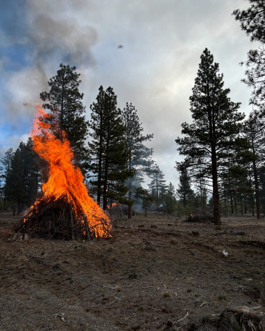 Instagram post from caldeerassoc. This post is in position 3.