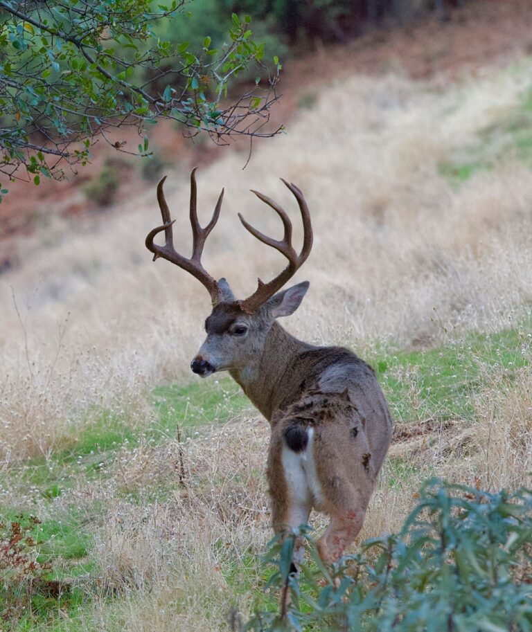 Instagram post from caldeerassoc. This post is in position 1.