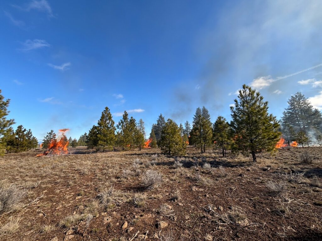 Instagram post from caldeerassoc. This post is in position 4.