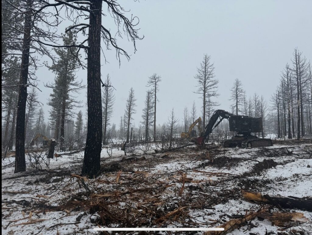 Instagram post from caldeerassoc. This post is in position 0.