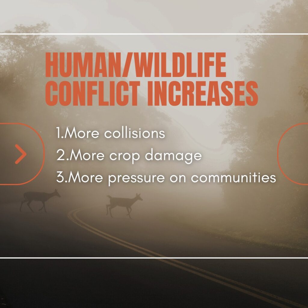 Instagram post from caldeerassoc. This post is in position 4.