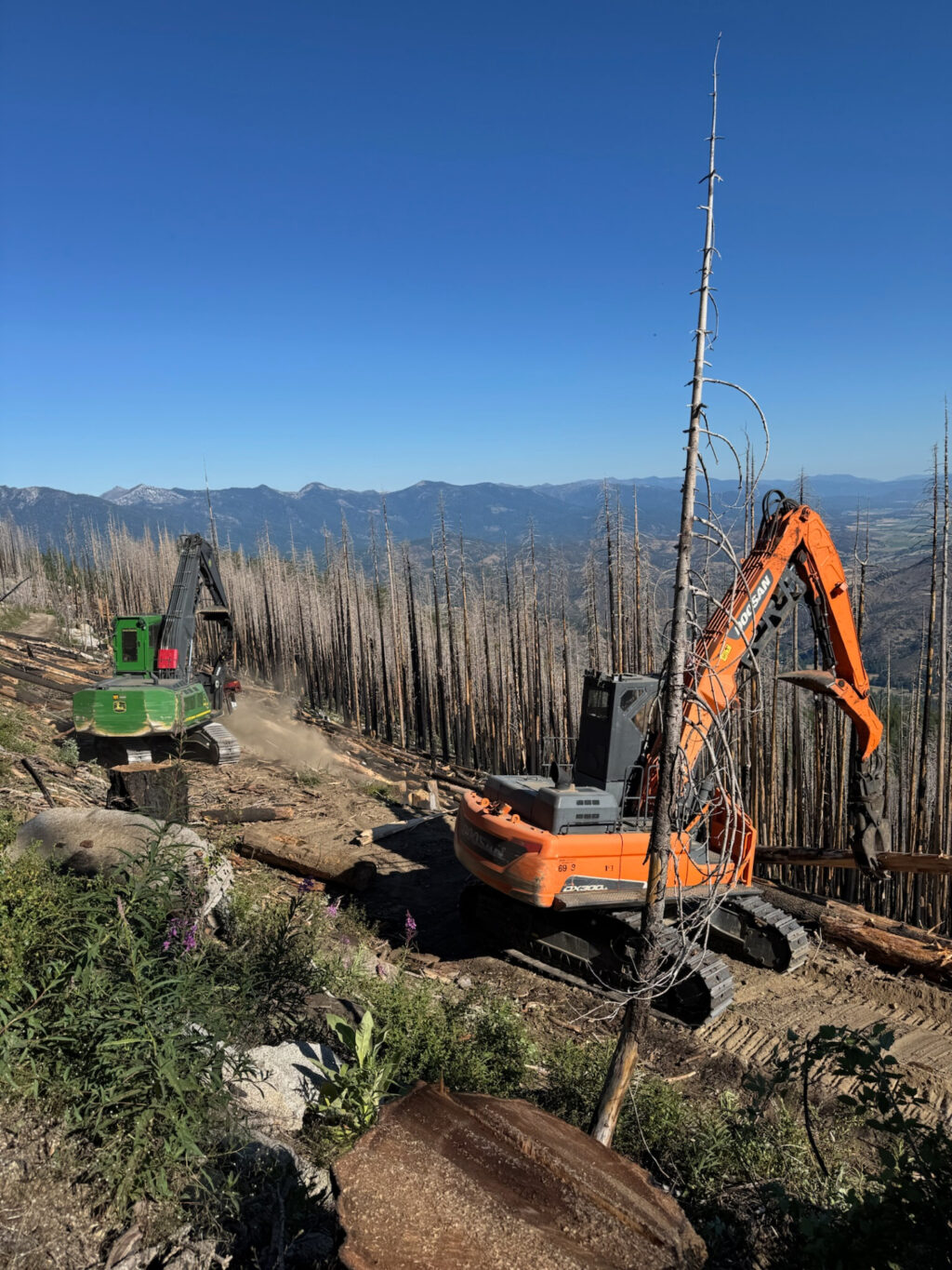 Instagram post from caldeerassoc. This post is in position 6.