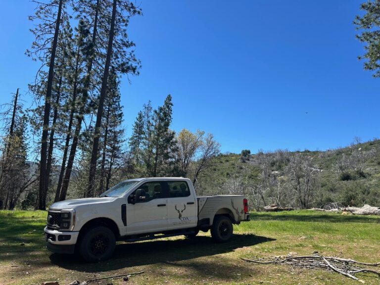 Instagram post from caldeerassoc. This post is in position 1.