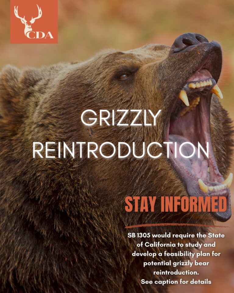 Instagram post from caldeerassoc. This post is in position 1.