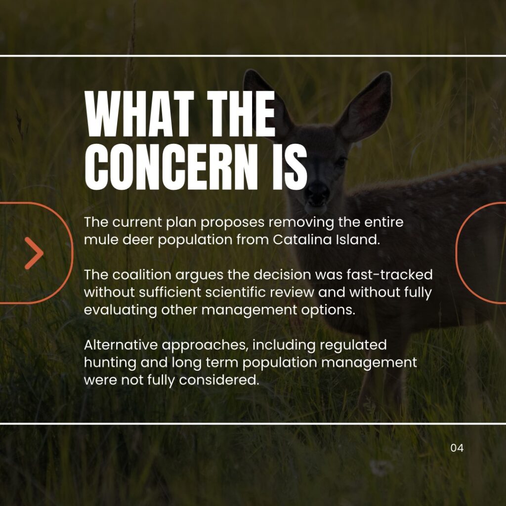 Instagram post from caldeerassoc. This post is in position 3.