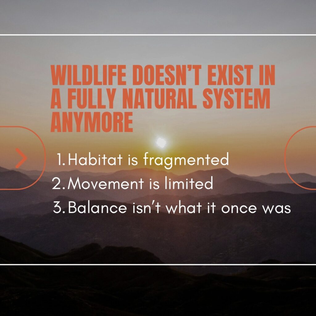 Instagram post from caldeerassoc. This post is in position 1.