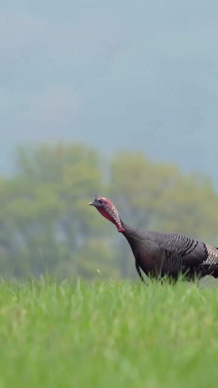 Instagram post from caldeerassoc. This post is in position 2.