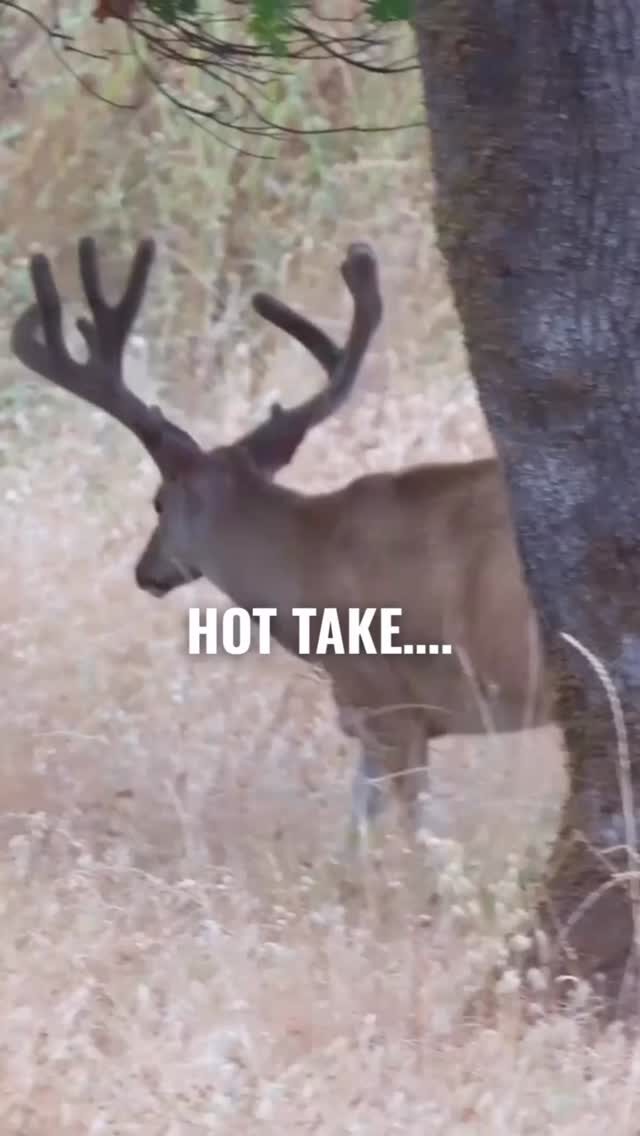 Instagram post from caldeerassoc. This post is in position 2.