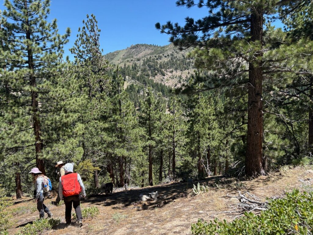 Instagram post from caldeerassoc. This post is in position 9.