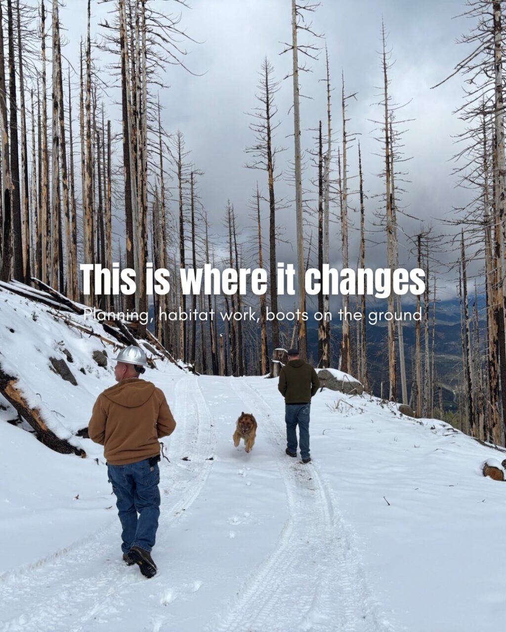 Instagram post from caldeerassoc. This post is in position 2.