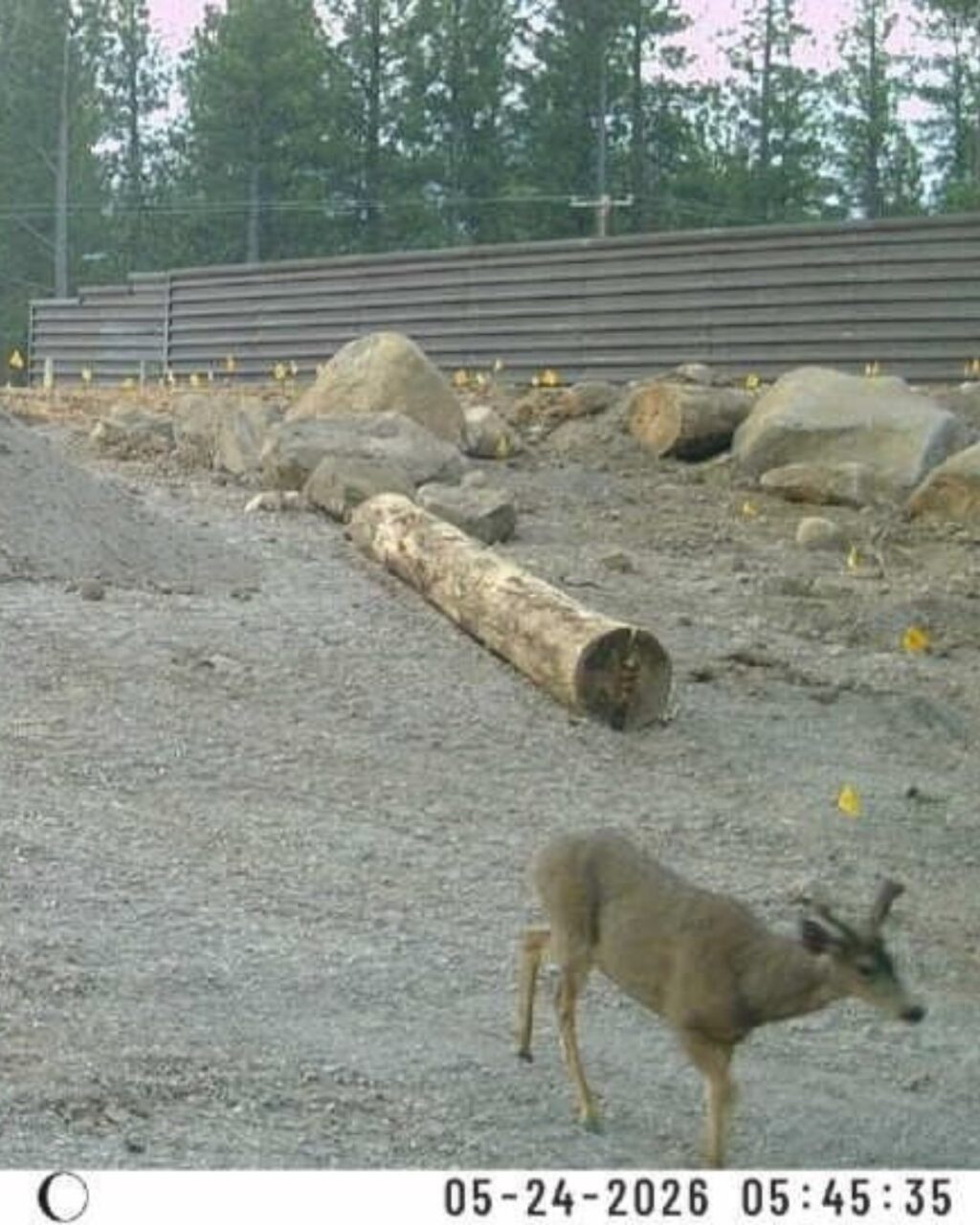 Instagram post from caldeerassoc. This post is in position 1.