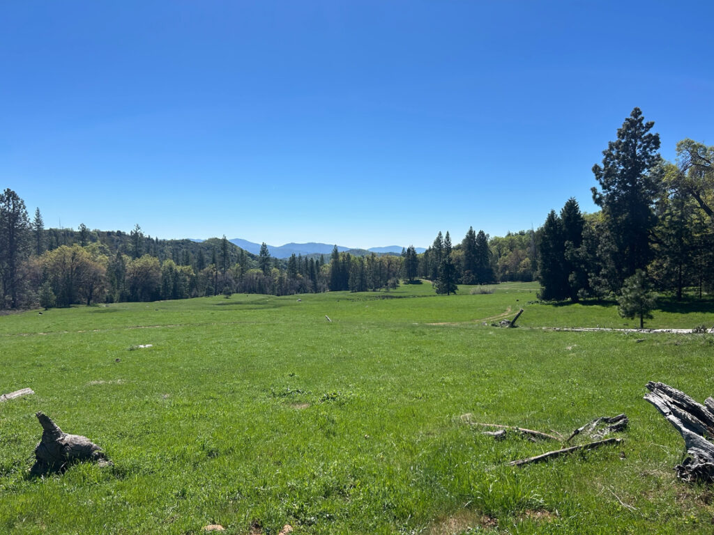 Instagram post from caldeerassoc. This post is in position 4.