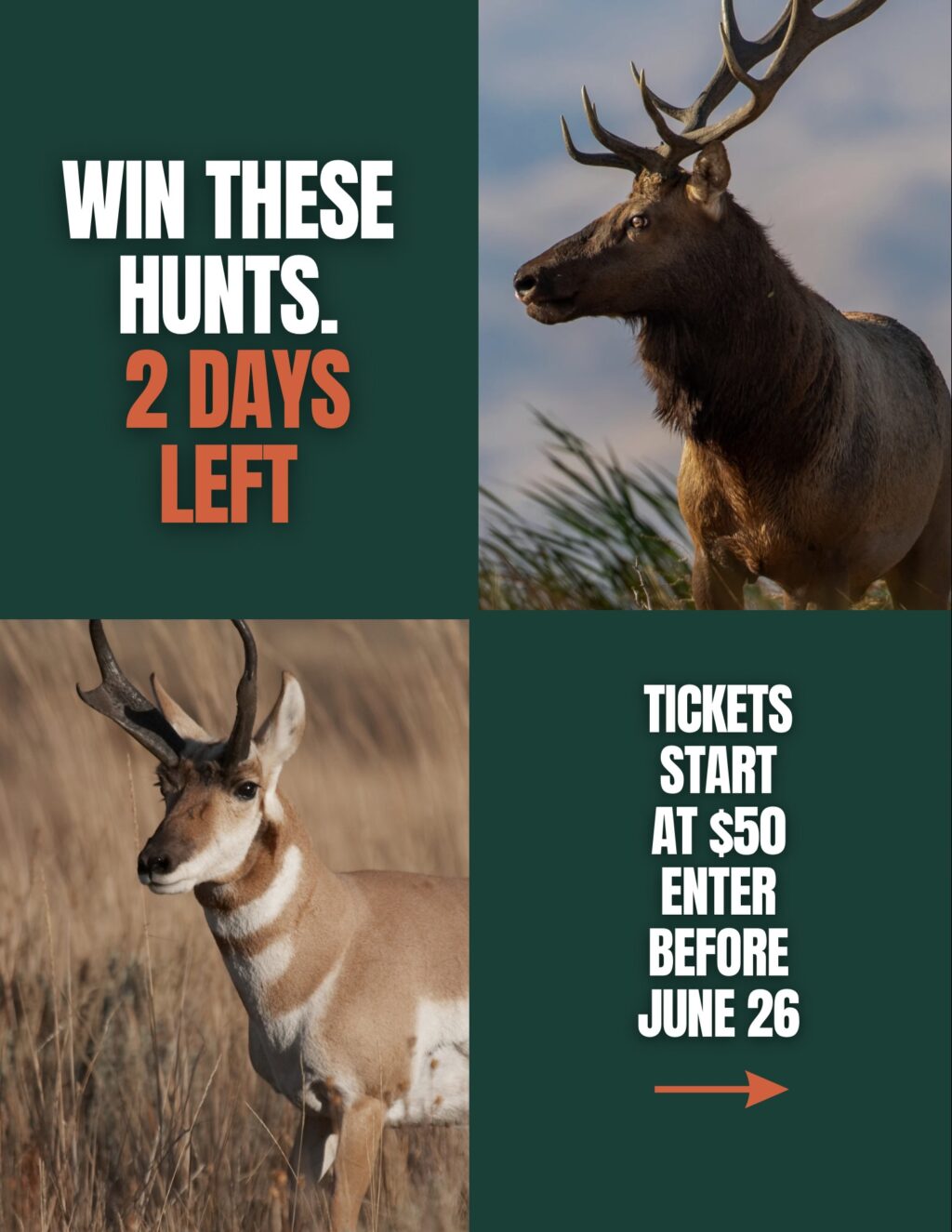 Instagram post from caldeerassoc. This post is in position 0.