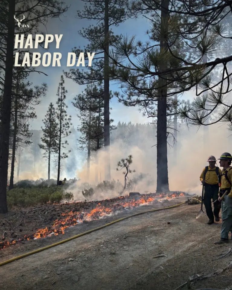 Instagram post from caldeerassoc. This post is in position 0.