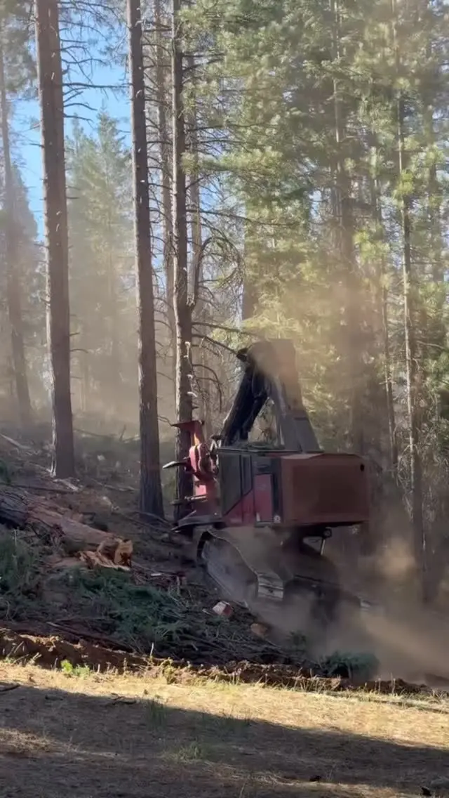 Instagram post from caldeerassoc. This post is in position 0.
