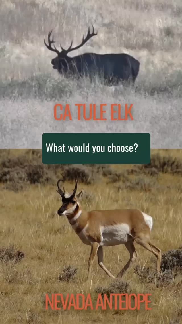 Instagram post from caldeerassoc. This post is in position 0.