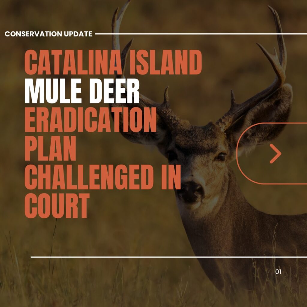 Instagram post from caldeerassoc. This post is in position 0.