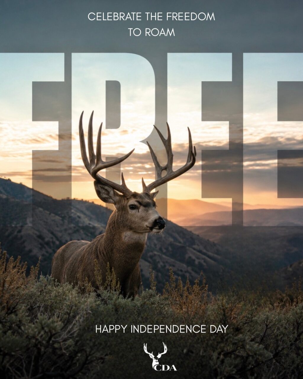 Instagram post from caldeerassoc. This post is in position 0.