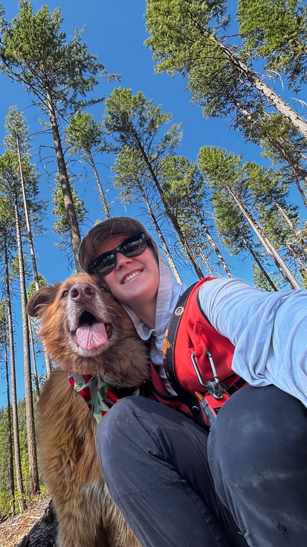 Instagram post from caldeerassoc. This post is in position 0.