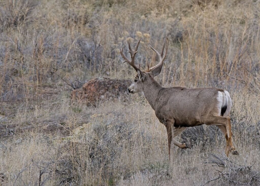 Instagram post from caldeerassoc. This post is in position 3.