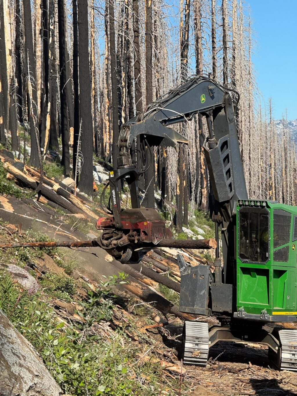 Instagram post from caldeerassoc. This post is in position 1.