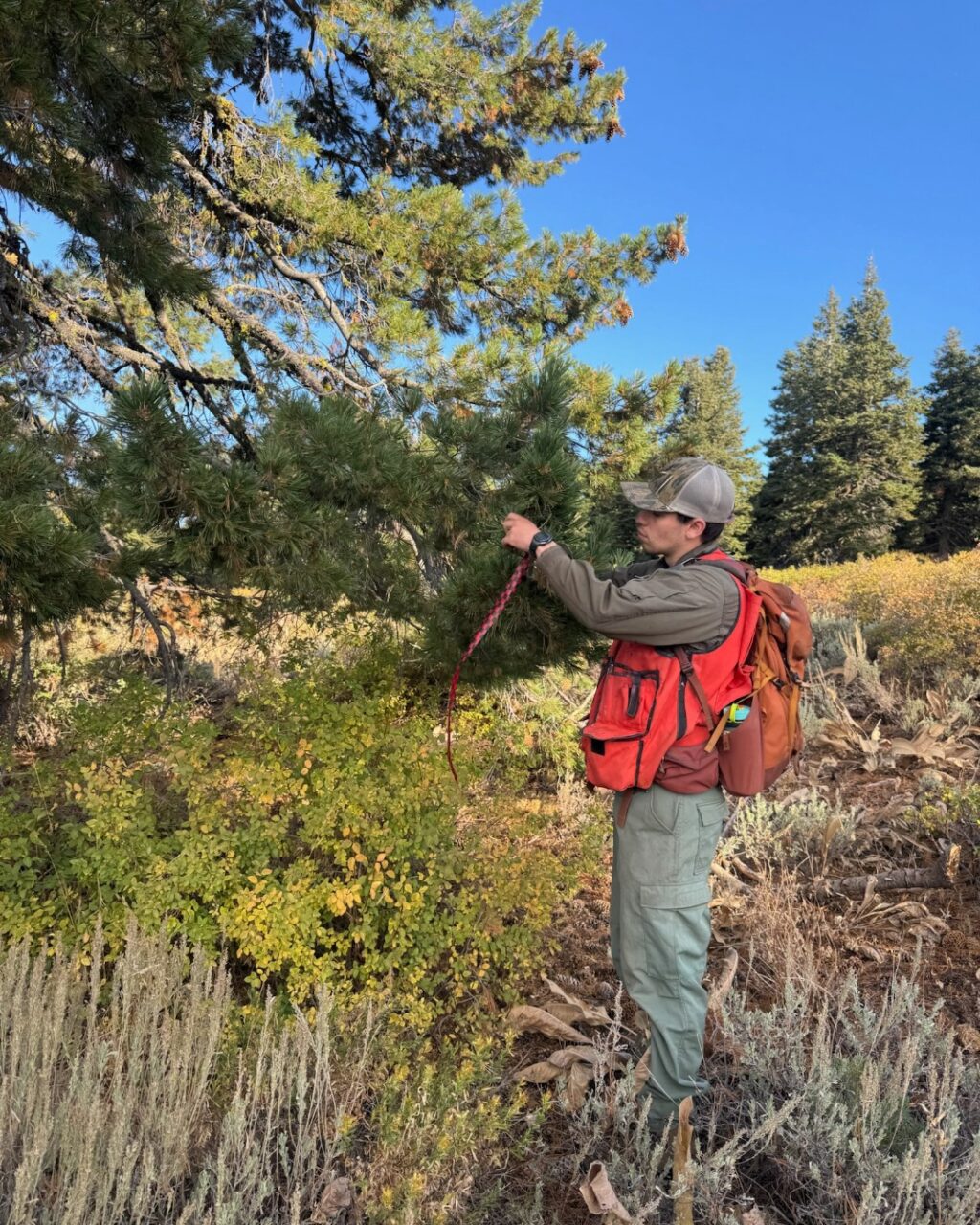 Instagram post from caldeerassoc. This post is in position 0.