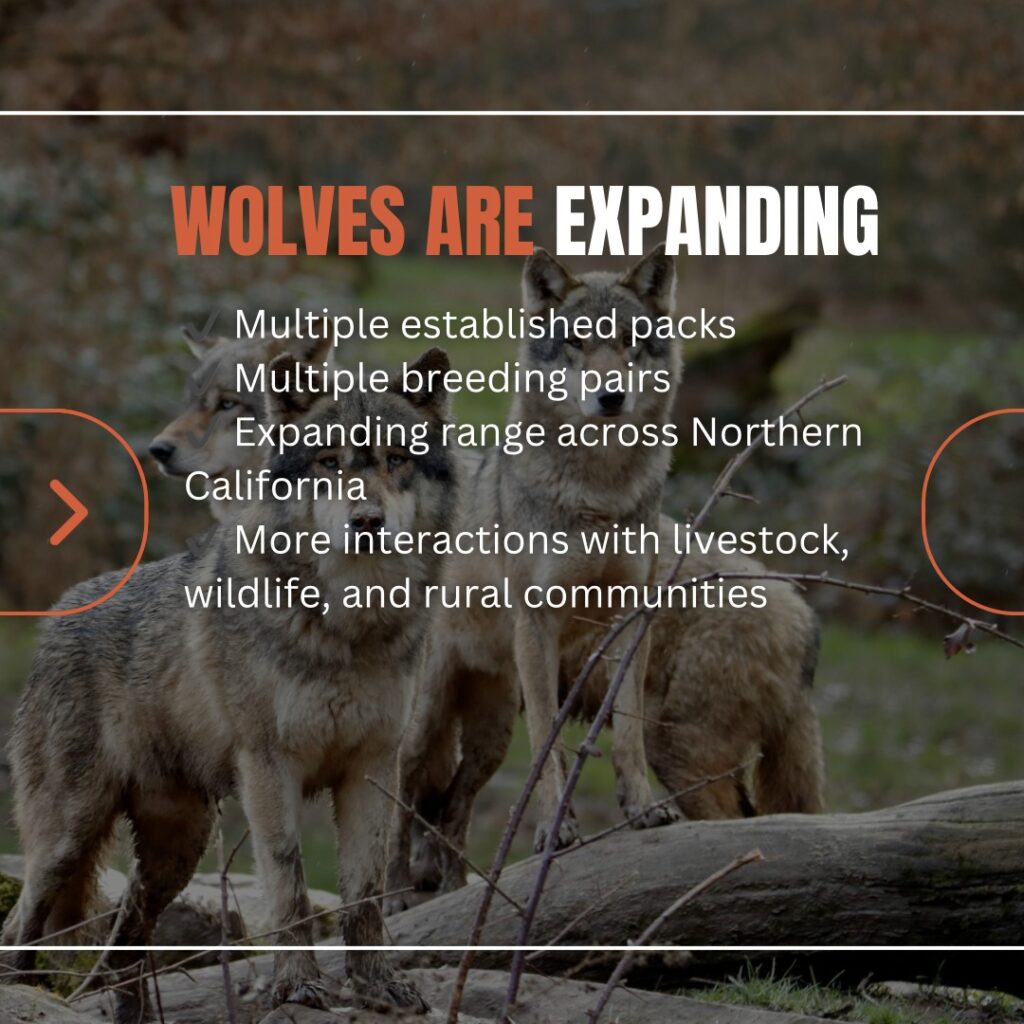 Instagram post from caldeerassoc. This post is in position 2.