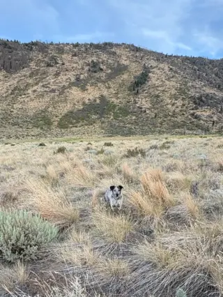 Instagram post from caldeerassoc. This post is in position 3.