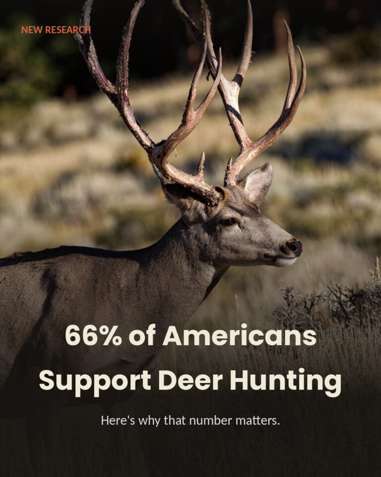Instagram post from caldeerassoc. This post is in position 1.
