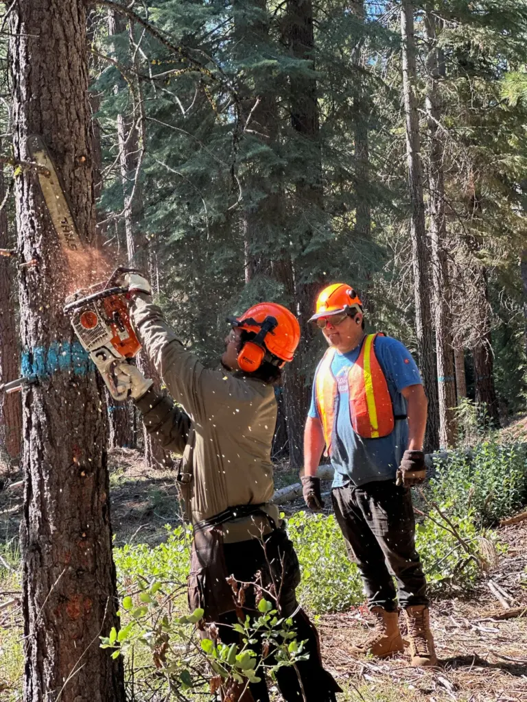 Instagram post from caldeerassoc. This post is in position 5.