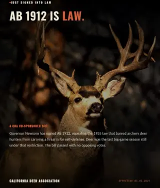 Instagram post from caldeerassoc. This post is in position 1.