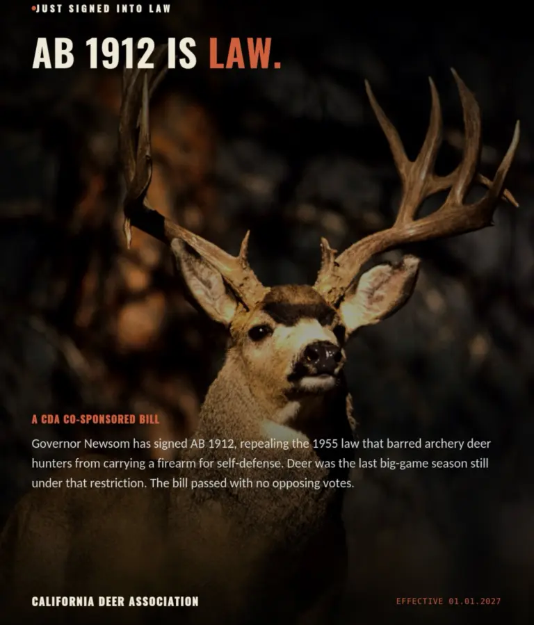 Instagram post from caldeerassoc. This post is in position 0.